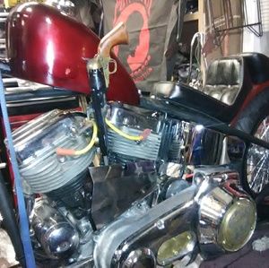 Meet your Posher, Larry